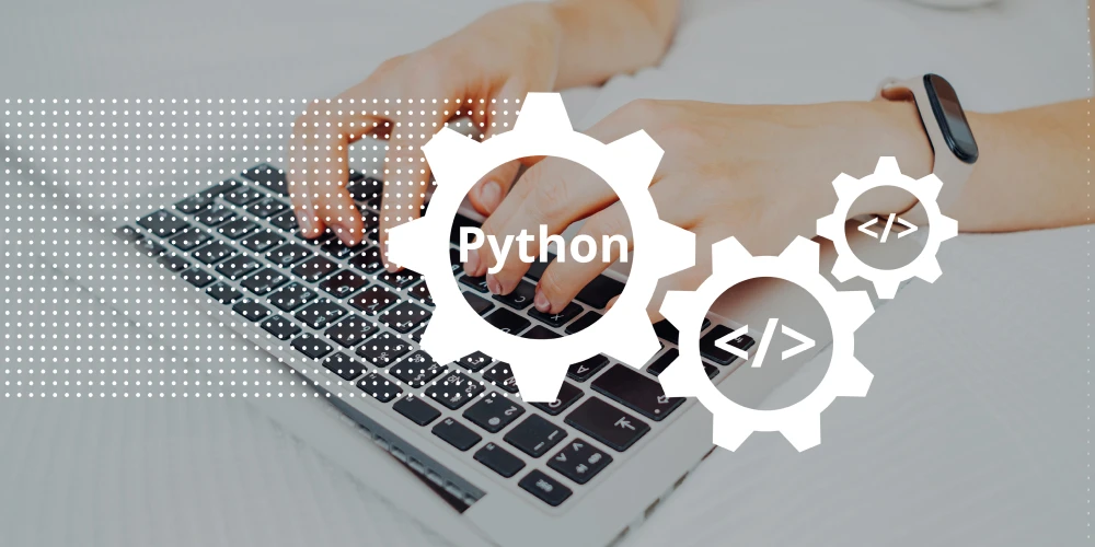 python development outsourcing